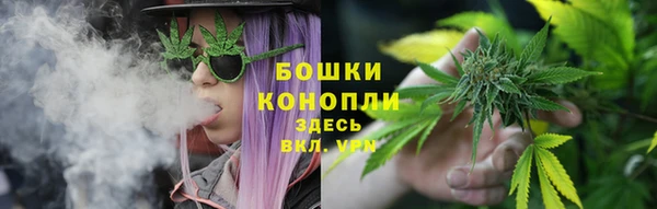 шишки Балахна