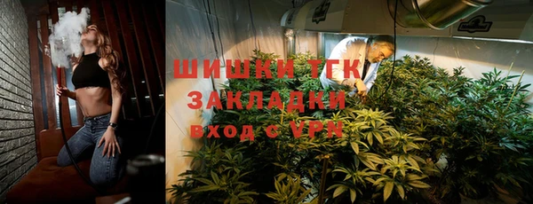 шишки Балахна